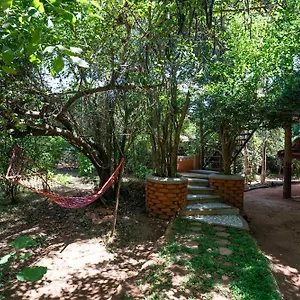 The Thick Forest Lodge Sigiriya
